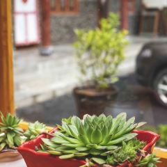 九寨溝青稞藏餐廳張用戶圖片