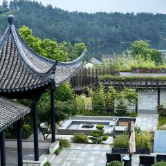 安吉悦榕庄·大堂吧 여행 사진