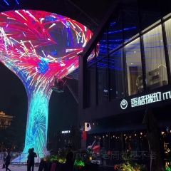 NEON DANCE User Photo