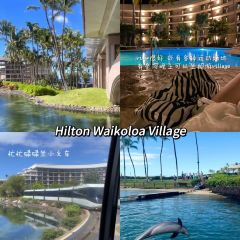 Da Poke Shack User Photo