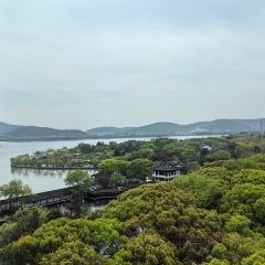 君來湖濱飯店悅吧張用戶圖片