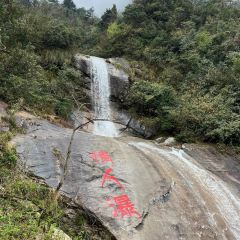 家朋土菜馆 User Photo