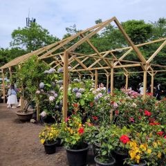 Manor Blanc User Photo