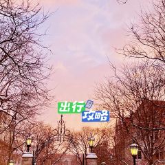 LH Rooftop張用戶圖片