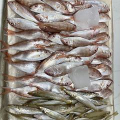 企沙渔港 User Photo