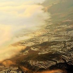 SA MA BA 여행 사진