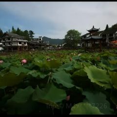 花筑·景宁雲中自在居(云中大漈店)·农家特色饭店 User Photo