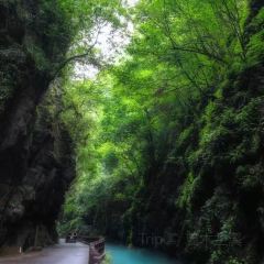 恩施今典君澜大酒店·波尔多西餐厅 User Photo