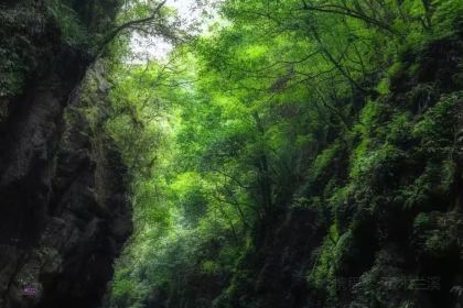 恩施今典君澜大酒店·波尔多西餐厅