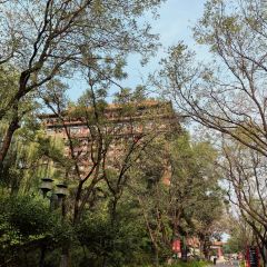 正安宮飯店（香河天下一城店）張用戶圖片