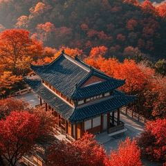 WU GU FENG DENG User Photo