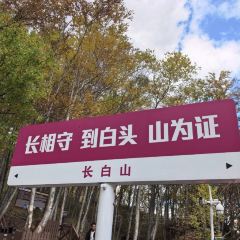 七星布车休闲料理店 User Photo