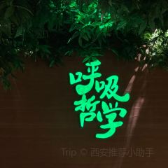 Waking Lotus Bar User Photo