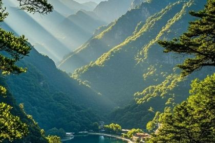 DaMo KaoRou (PanXuan Road)