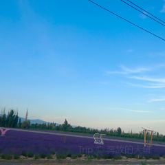 点将台星空营地(博乐赛里木湖店)·自助餐厅 User Photo