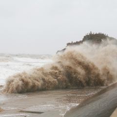 阿卡萨海景度假酒店·月夕餐厅 User Photo