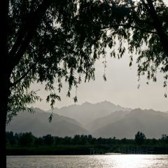 LIU FU JIU GUAN User Photo