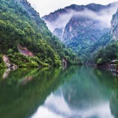 王阿姨梅花糕 User Photo