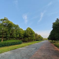 汪胖子襄阳牛肉面(华丰路店) User Photo