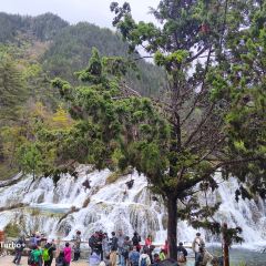 半山海·九寨秘境 Azure Veil Springs 温泉度假酒店·半山海餐厅 User Photo