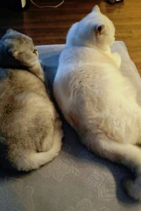 YoYoshihuajieo 麗楓飯店（北京房山良鄉大學城北地鐵站店）優惠