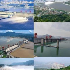 文子面張用戶圖片