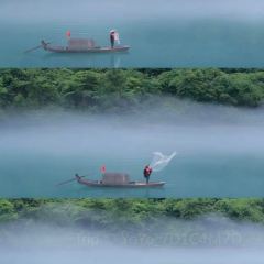 矮子燒雞公張用戶圖片