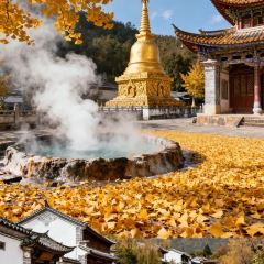鸟鸣涧野生菌森林餐厅 여행 사진