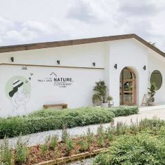 Lemon me farm (เลมอนมีฟาร์ม) User Photo