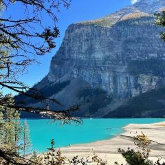 Banff Ave Brewing Co User Photo