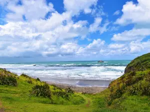 Muriwai Beach