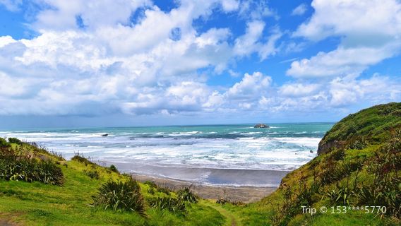 Muriwai