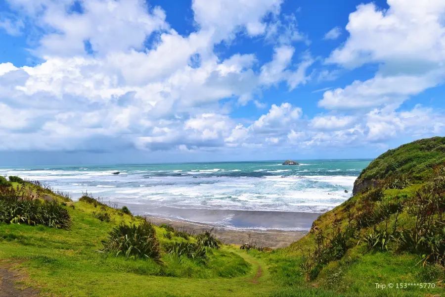 Muriwai Beach