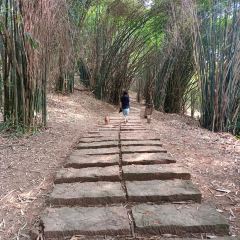 兰溪金熙温泉酒店·墅滋法餐厅 User Photo