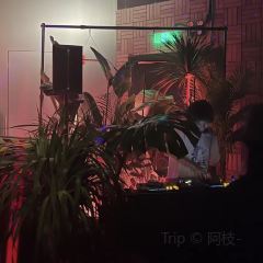 POTENT張用戶圖片