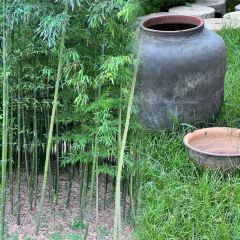 全福农庄 User Photo