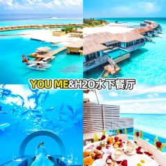 5.8 Undersea Restaurant張用戶圖片