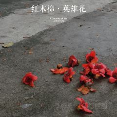 喜余的花园(侨苑小区店) User Photo