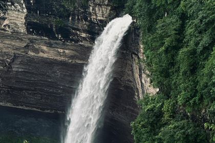 吴二大排档(小十字店)