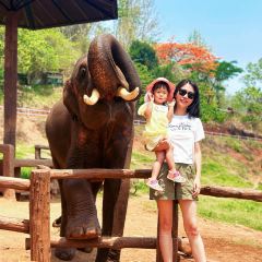 Elefin Farm & Cafe เอเลฟิน ฟาร์ม แอนด์ คาเฟ่ User Photo