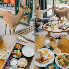 梅花鹿庄园酒店·鹿鸣苑 User Photo