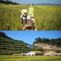 在发呆·lan's浪肆咖啡庄园 User Photo