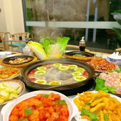 岭色味石锅椰子鸡 User Photo