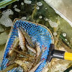 Haojing Seafood Restaurant (wanghongcantingshuangyuewan) User Photo