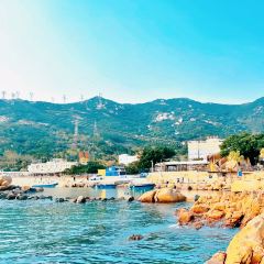 海边有棵树 여행 사진