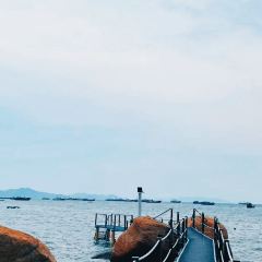 海边有棵树 여행 사진