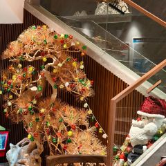 漢江味家韓國料理張用戶圖片