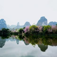 大新明仕稻香客栈 User Photo