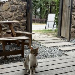 烤包子咖啡屋·洋食 User Photo