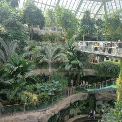 小隱圍屋張用戶圖片